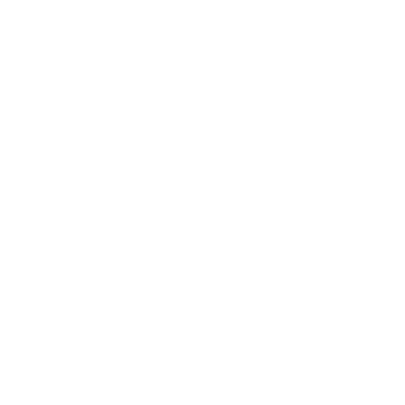 PRECISION CHALLENGE